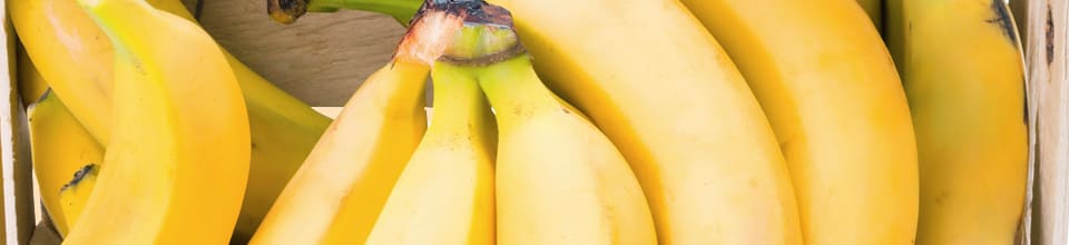 Banan