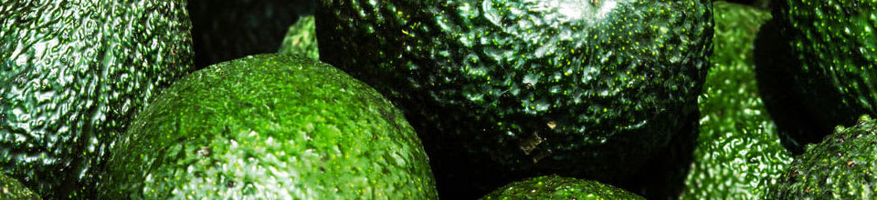 Avokado