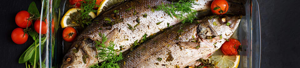 Fisk