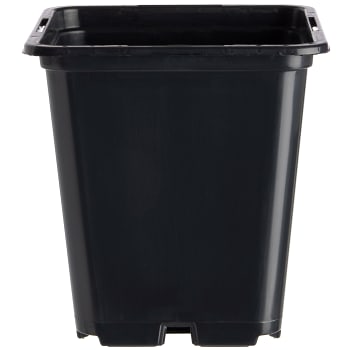 Plastkruka Fyrkantig 9x9cm 20 p ICA Garden Handla mat online från din