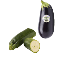 Illustration av Aubergine, Zucchini