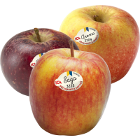 Illustration av Svenska äpplen