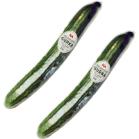 Illustration av Gurka