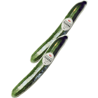 Illustration av Gurka