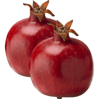 Illustration av Granatäpple