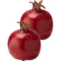 Illustration av Granatäpple