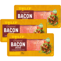 Illustration av Bacon