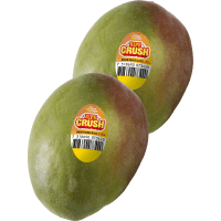 Illustration av Mogen mango