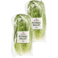 Illustration av Romansallat i påse