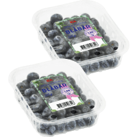 Illustration av Blåbär i ask