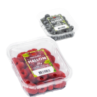 Illustration av Blåbär i ask