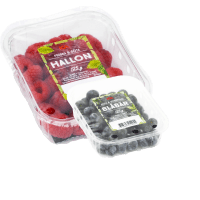 Illustration av Blåbär i ask, Hallon i ask