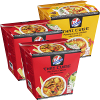 Illustration av Frysta Thaiboxar