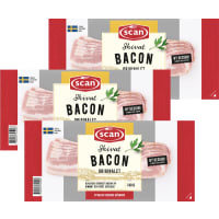 Illustration av Bacon