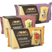 Illustration av Cheddar, Gouda, Havarti