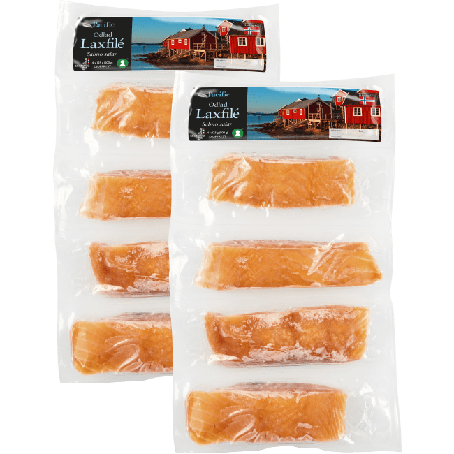 Illustration av Fryst Laxfilé