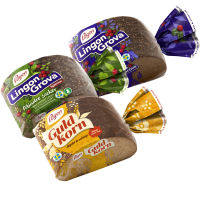 Illustration av Guldkorn, Lingongrova, Lingongrova special