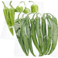 Illustration av Paprika Sivri & Carli