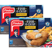 Illustration av Fish & crisp fish filets
