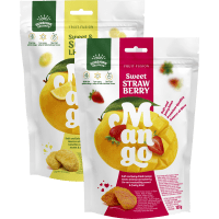 Illustration av Torkad mango