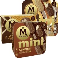 Illustration av Magnum mini