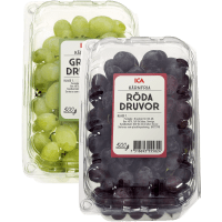 Illustration av Röda & Gröna Druvor