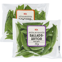 Illustration av Salladsärta