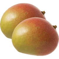 Illustration av Mango
