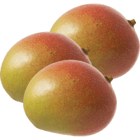 Illustration av Mango