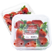 Illustration av Jordgubbar i ask