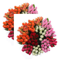 Illustration av Rosor 10-pack