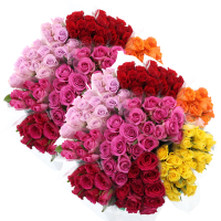 Illustration av Rosor 10-pack