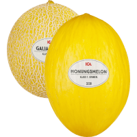 Illustration av Galia- och Honungsmeloner