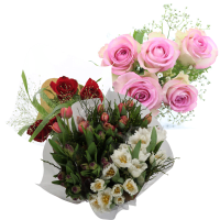 Illustration av Buketter