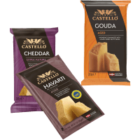 Illustration av Aged Havarti, Cheddar, Gouda