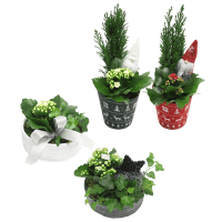 Illustration av Julgrupper