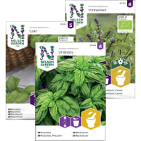 Illustration av Fröer