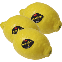 Illustration av Citroner