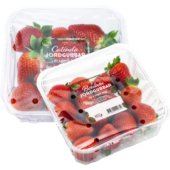 Illustration av Jordgubbar i ask