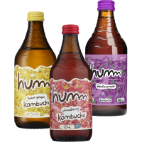 Illustration av Kombucha Lemon Ginger