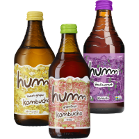 Illustration av Mejeri Kombucha 414 ml