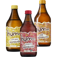 Illustration av Kombucha Lemon Gin