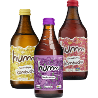 Illustration av Kombucha Lemon Ginger