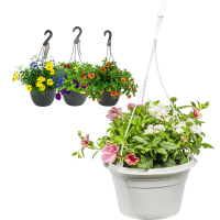 Illustration av Blommande ampel