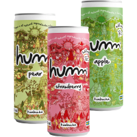Illustration av Kombucha burk