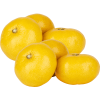 Illustration av Satsumas