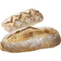 Illustration av Italienskt surdegs/Levain