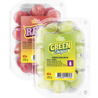 Illustration av Gröna, Röda druvor