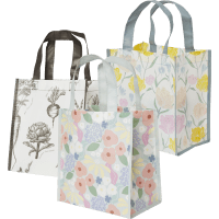 Illustration av Lunchbag