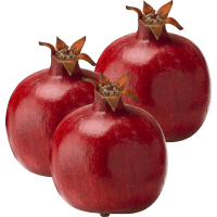 Illustration av Granatäpple
